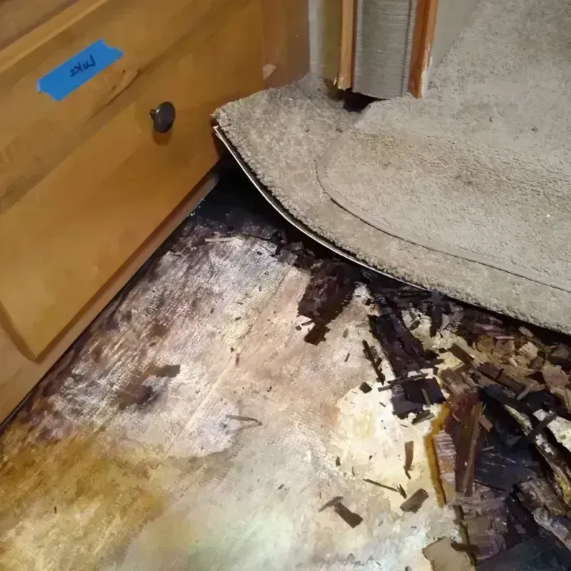 Wood Floor Water Damage in Micco, FL